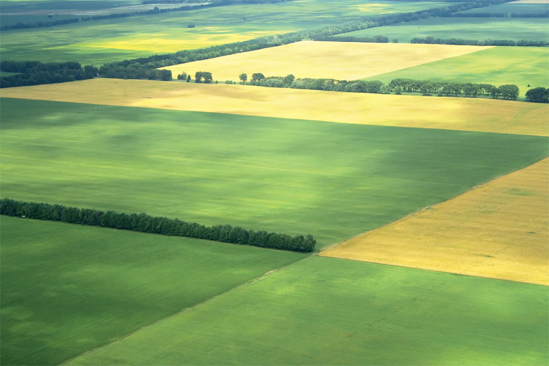 Новини України: В Житомирской области проверят использование сельхозземель