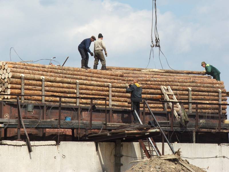 Кримінал: Житомирское предприятие пыталось незаконно вывезти лесоматериалы в Турцию