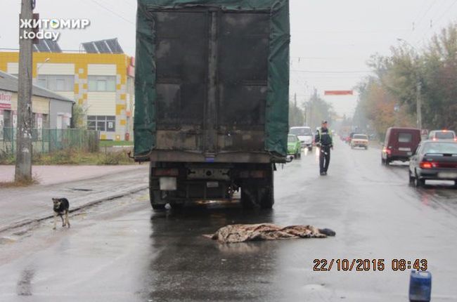 Надзвичайні події: Утром в Житомире погибли два человека, переходя дорогу в неположенном месте. ФОТО