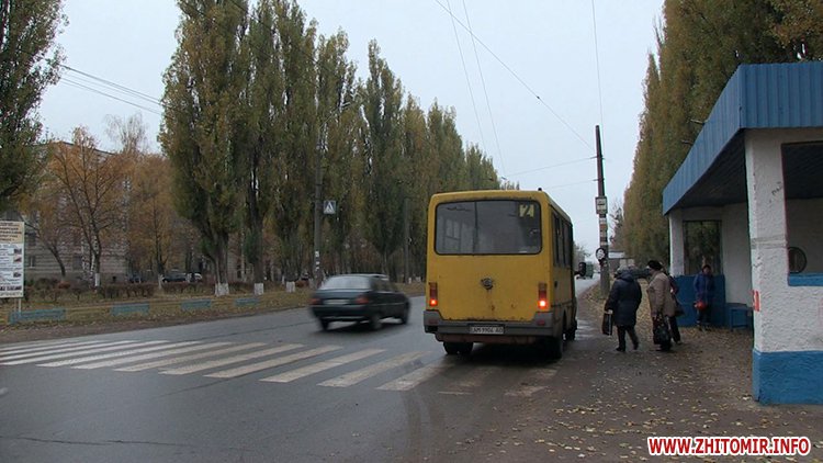 Люди і Суспільство: На пешеходном переходе в Житомире, где таксист сбил насмерть 17-летнюю студентку, хотят установить светофор