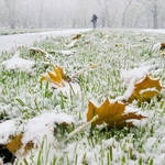 Сегодня в Житомире выпал первый снег. ФОТО