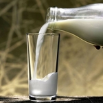 Житомирская область занимает четвертое место по объемам производства молока