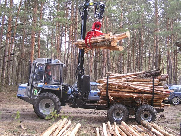 Гроші і Економіка: Лесхозы Житомирской области пополнили бюджет на 200 млн гривен
