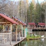 На берегу водоема в Житомирской области снесут незаконные постройки - прокуратура