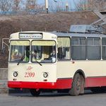 Россиянин проспонсировал реставрацию 36-летнего житомирского троллейбуса. ФОТО