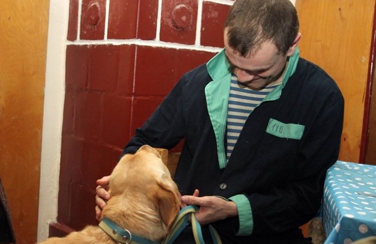 Специально обученные собаки помогут житомирским бойцам АТО в психологической реабилитации