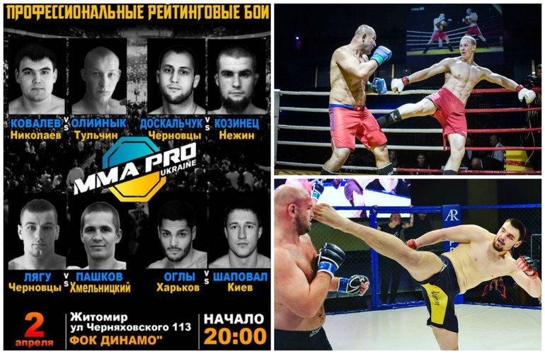 В Житомире на чемпионате Украины по MMA пройдут бои среди профессионалов