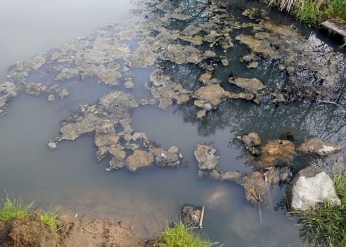 Понинковская фабрика отрицает свою вину в загрязнении реки в Житомирской области. ВИДЕО