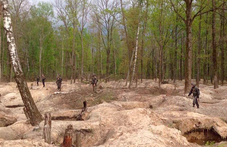 В лесах Житомирской области обнаружили новые копанки янтаря. ФОТО