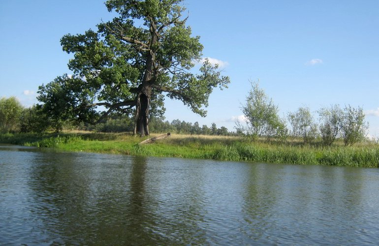 В Житомирской области со дна реки Случь подняли тело утопленника