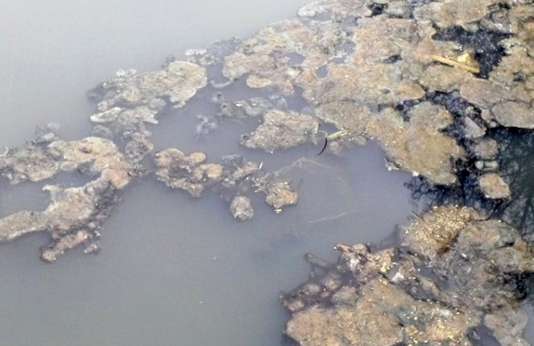 Из рек Случь и Хомора в Житомирской области категорически запрещено брать воду
