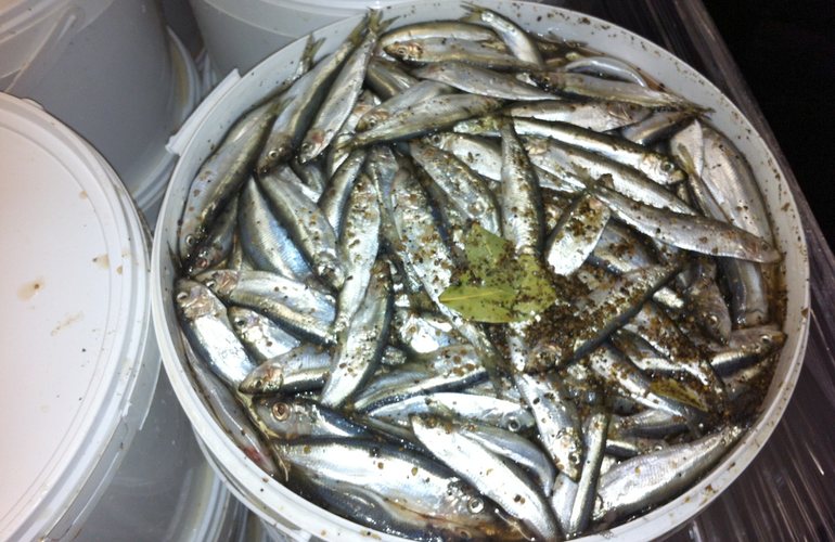 Житомирский «рыбак» незаметно украл со склада 50 вёдер с килькой