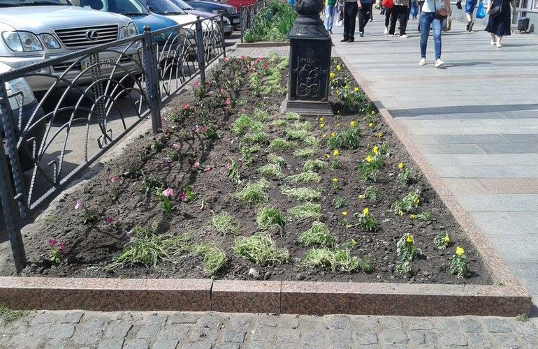 Последствия стихийной торговли в Житомире: на месте вытоптанных газонов высадили цветы. ФОТО