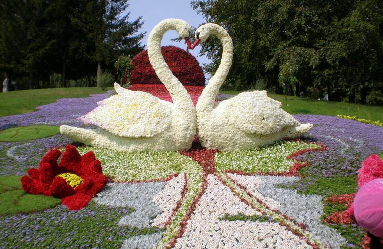 В Житомире не спешат устанавливать цветочные скульптуры, за которые заплатили почти 40 000 грн