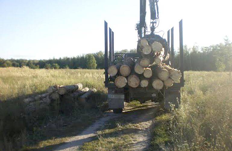 Незаконная вырубка леса: на Житомирщине задержаны парни, перевозившие 16 сосновых бревен