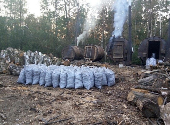 В лесу на Житомирщине «накрыли» подпольное производство древесного угля. ФОТО
