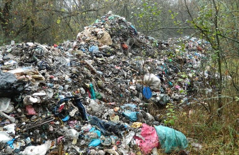 Экологический терроризм: львовский мусор сбрасывают посреди заповедника на Житомирщине. ФОТО