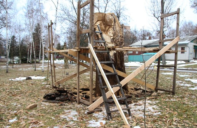 Из сломанного дерева в житомирском парке создают скульптуру «Влюбленная пара». ФОТО
