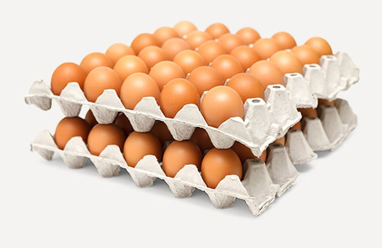 У Житомирі випустили мільярдний яєчний лоток