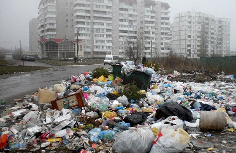 Доска позора: на улицах Житомира будут размещать фото тех, кто выбрасывает мусор где попало
