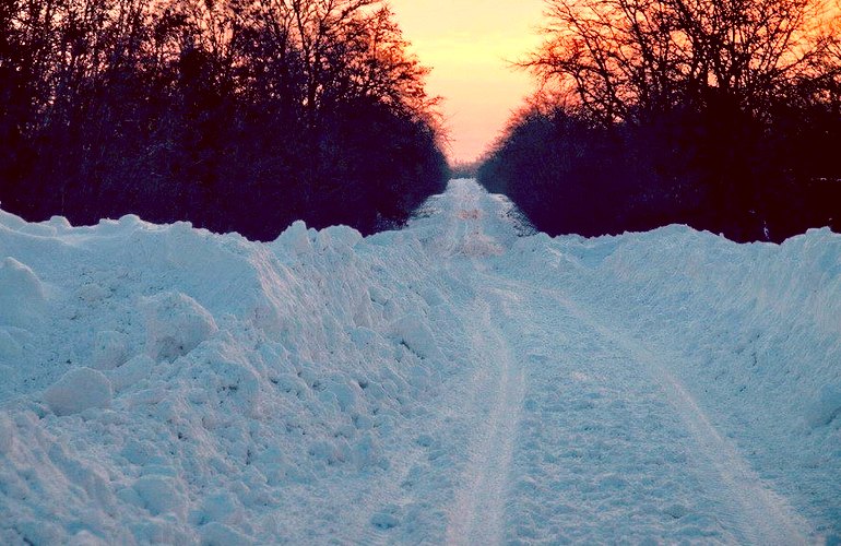 Отрезаны от мира: из-за снегопадов в сёла Житомирской области не могут доехать автобусы. ВИДЕО