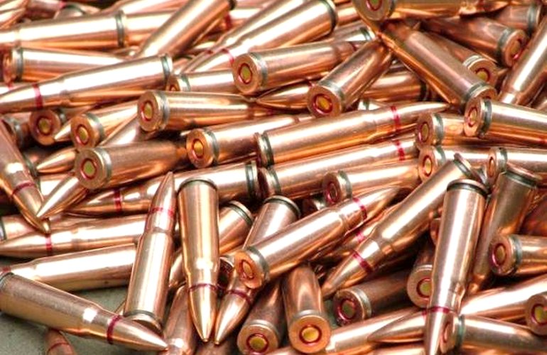 В Житомире в мусорном баке найдены патроны к снайперской винтовке и автомату. ФОТО