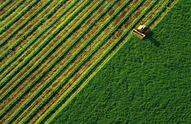 Житомирщина – одна из лидеров в агропромышленной отрасли. Лучшие достижения 2016 года