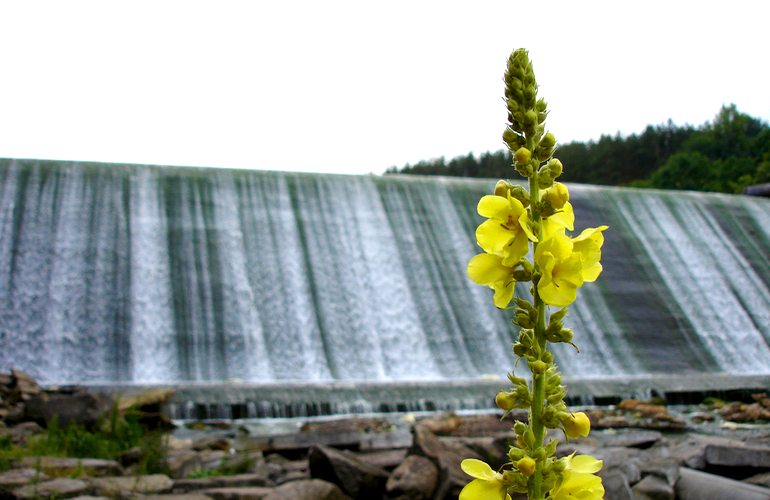 Сухомлин рассказал, что уже в апреле введут в эксплуатацию первую в Житомире ГЭС