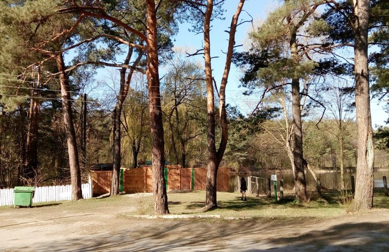 В лесу возле житомирского Гидропарка открыли площадку для отдыха с мангалом и беседкой. ФОТО