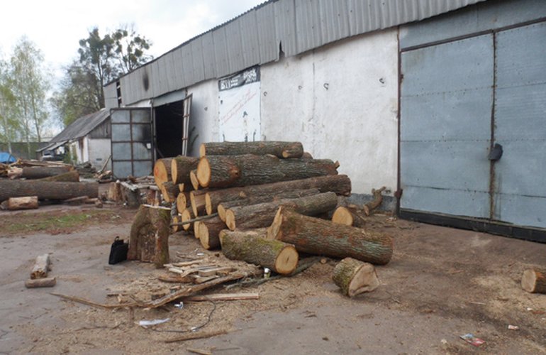 В селе под Житомиром «накрыли» лесопилку с незаконно срубленной древесиной