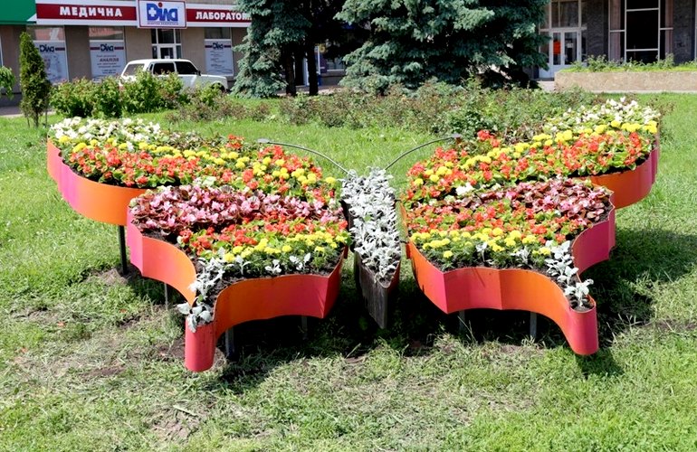 В Житомире появилась оригинальная цветочная клумба в форме бабочки. ФОТО