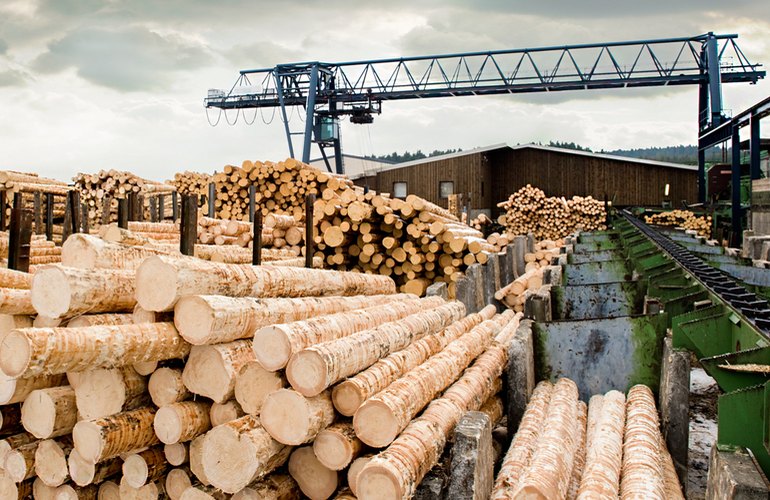 Представители власти, бизнеса и общественности обсудили в Житомире проблемы лесной отрасли
