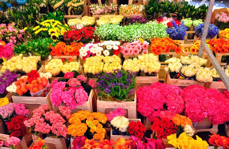 В Житомире хотят построить маленький цветочный рынок с «европейским дизайном»