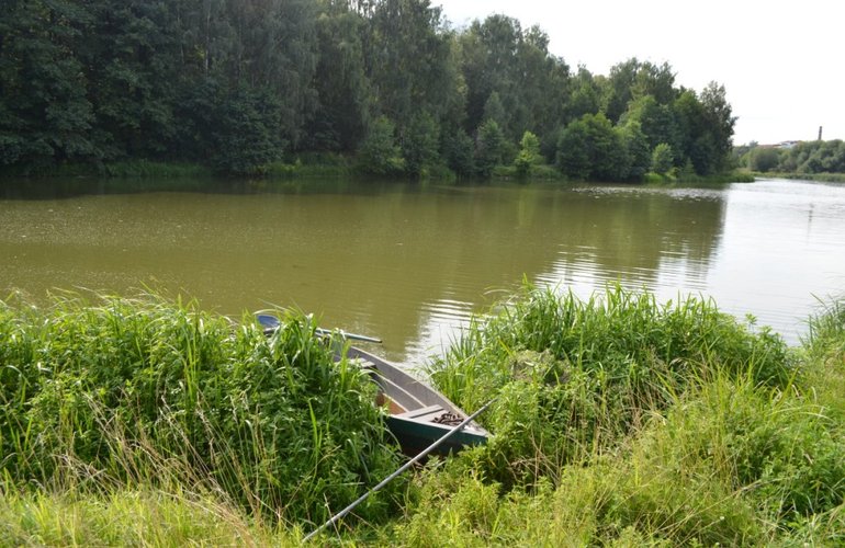 В реке Тетерев погибла рыба: власти Житомира обвиняют ГЭС
