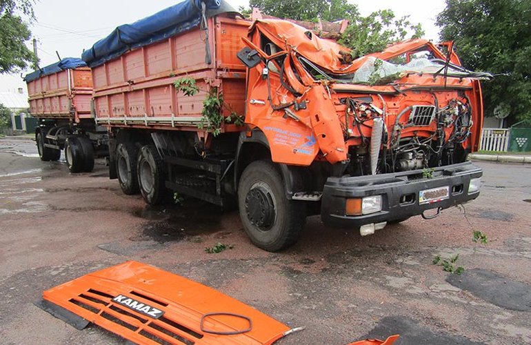 В поселке на Житомирщине упавшее дерево раздавило грузовик. ФОТО