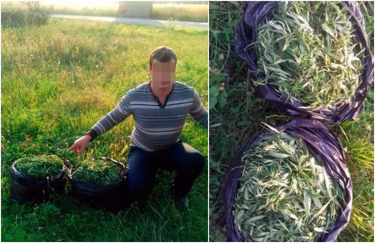 В Житомирской области двое парней попались полицейским с 16 килограммами конопли