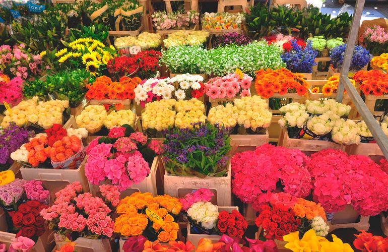 На проспекте Мира в Житомире за полмиллиона установят временный цветочный павильон