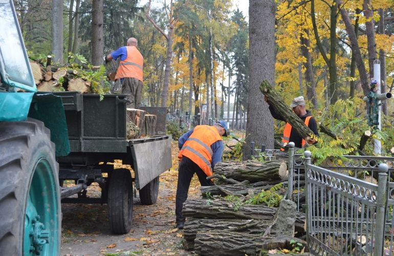 Реализация проекта бюджета участия: коммунальщики наводят порядок на Польском кладбище в Житомире. ФОТО