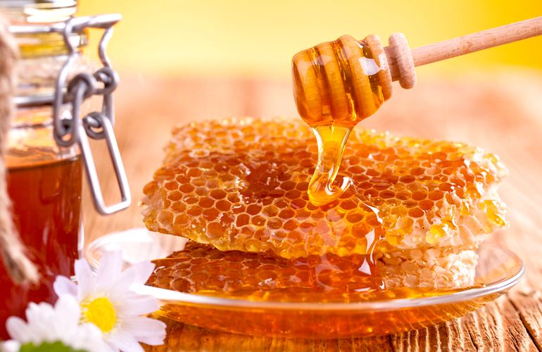 Сладкое золото: Житомирская область – лидер в Украине по производству мёда