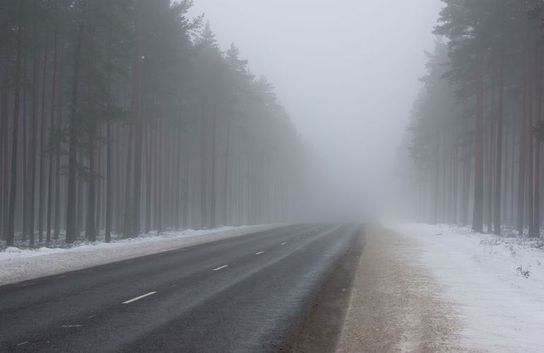 Житомирских водителей предупреждают о плохой видимости на дорогах из-за тумана