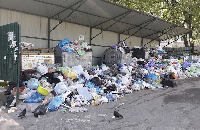 Житомирские дворы тонут в куче отходов, коммунальщики обещают исправить ситуацию. ФОТО