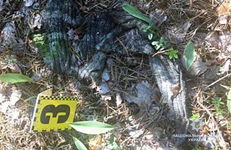 В Житомирской области обнаружено сожженное тело мужчины. ФОТО