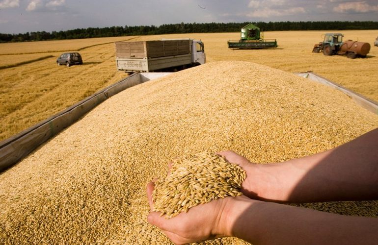 На полях Житомирской области собрали более 800 тысяч тонн зерна