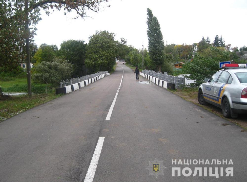 В Житомирской области автомобиль сбил 79-летнюю пенсионерку на мосту