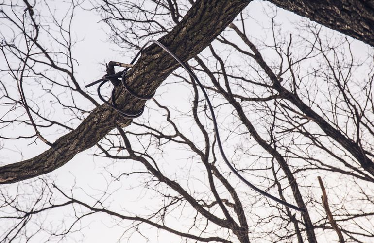 Между селами в Житомирской области нашли привязанный к дереву труп