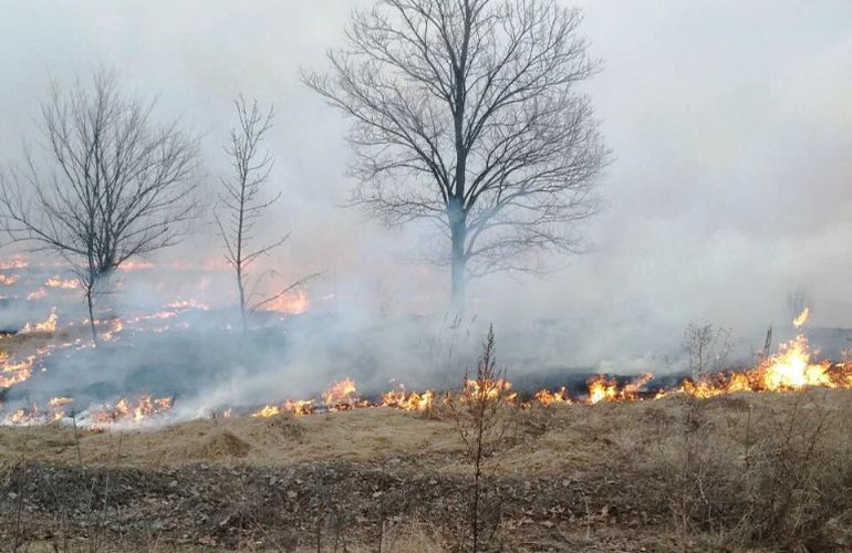 На Житомирщине горит сухая трава: за выходные зафиксировано более 80 возгораний. ФОТО