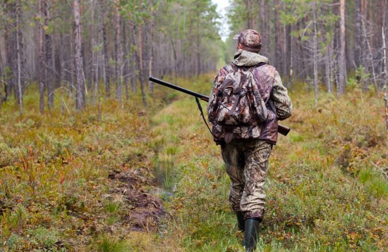Облсовет собирается отдать в частные руки более 2000 га охотничьих угодий на Житомирщине