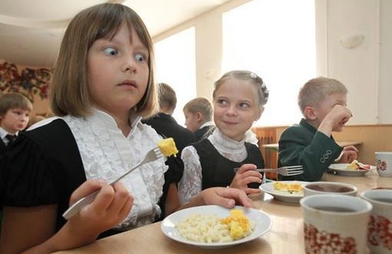 Из года в год в учебных заведениях Житомирской области ухудшается качество питания