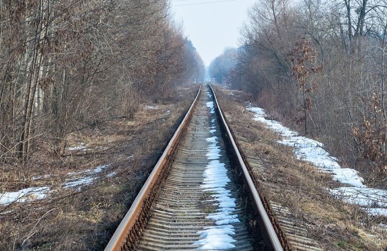 Полиция задержала «охотников за металлом», которые разбирали железную дорогу на Житомирщине. ФОТО