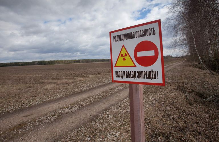 Чиновники незаконно отдали в аренду 1000 га радиоактивно загрязненных земель на севере Житомирщины